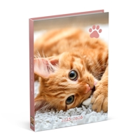 SCHOOLAGENDA 25-26 LANNOO CATS