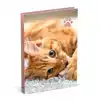SCHOOLAGENDA 25-26 LANNOO CATS