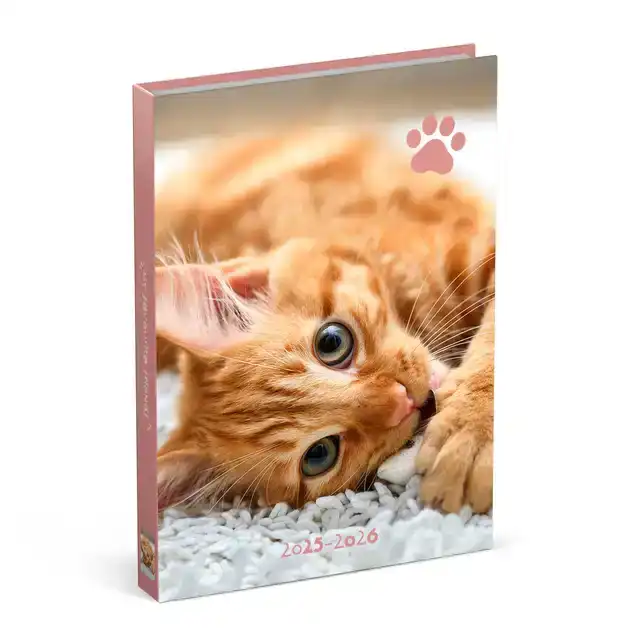 SCHOOLAGENDA 25-26 LANNOO CATS