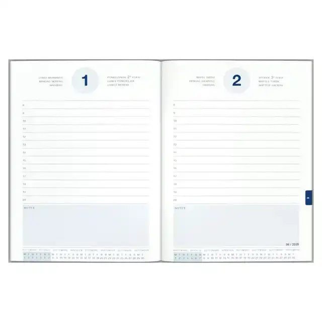 SCHOOLAGENDA 25-26 LANNOO CATS
