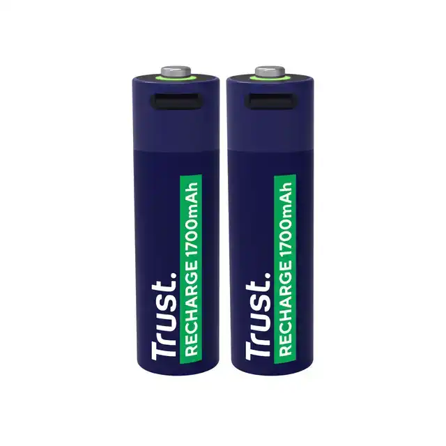 BATTERIJ TRUST USB-C OPLAADBAAR AA 2