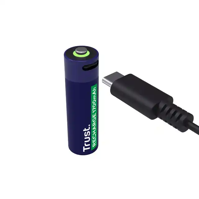 BATTERIJ TRUST USB-C OPLAADBAAR AA 2