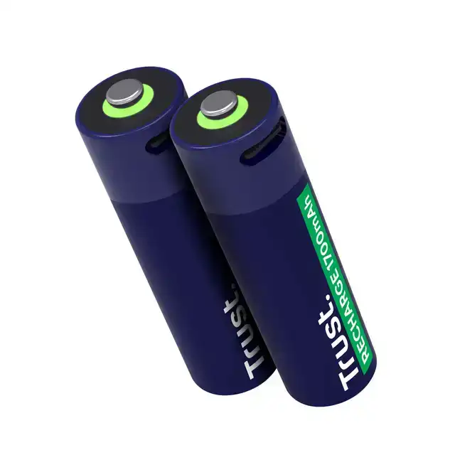 BATTERIJ TRUST USB-C OPLAADBAAR AA 2