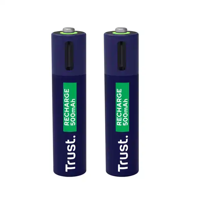 BATTERIJ TRUST USB-C OPLAADBAAR AAA 2