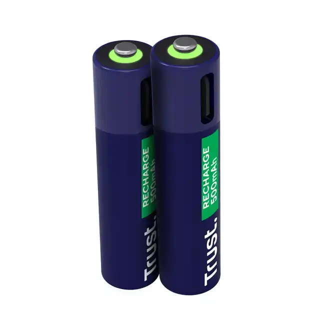 BATTERIJ TRUST USB-C OPLAADBAAR AAA 2