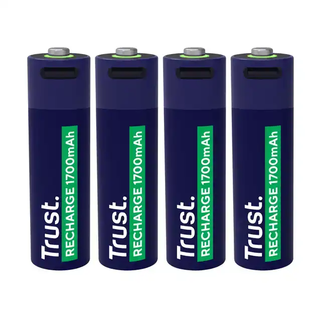 BATTERIJ TRUST USB-C OPLAADBAAR AA 4