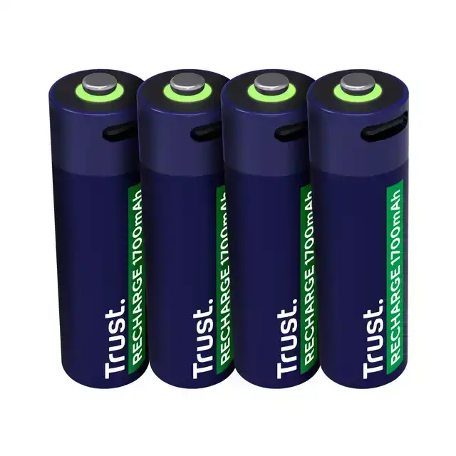 BATTERIJ TRUST USB-C OPLAADBAAR AA 4