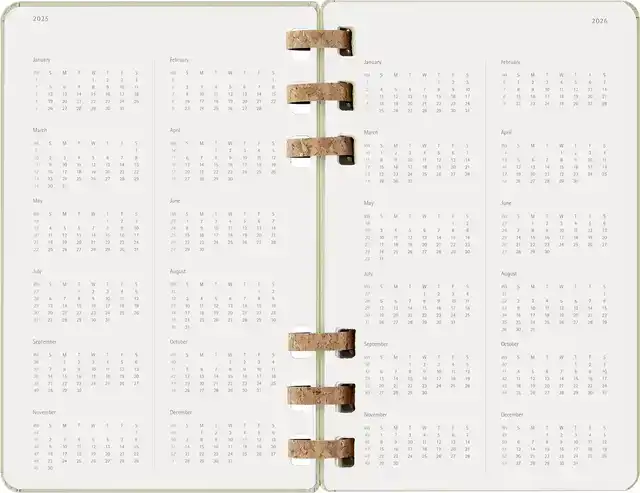 AGENDA 2025/2026 MSK ACADEMIC SPIRAL