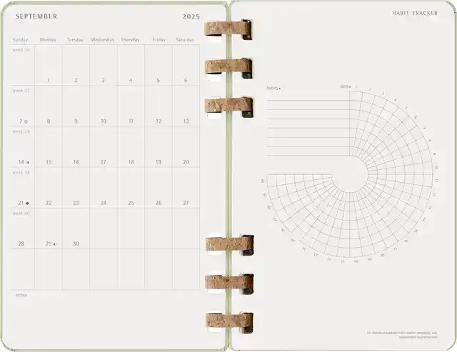AGENDA 2025/2026 MSK ACADEMIC SPIRAL