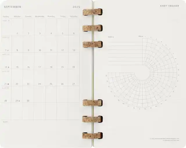 AGENDA 25/26 MSK ACADEMIC SPIRAL 7D/1P