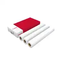 INKJETPAPIER CANON 610MMX45M 90GR MAT