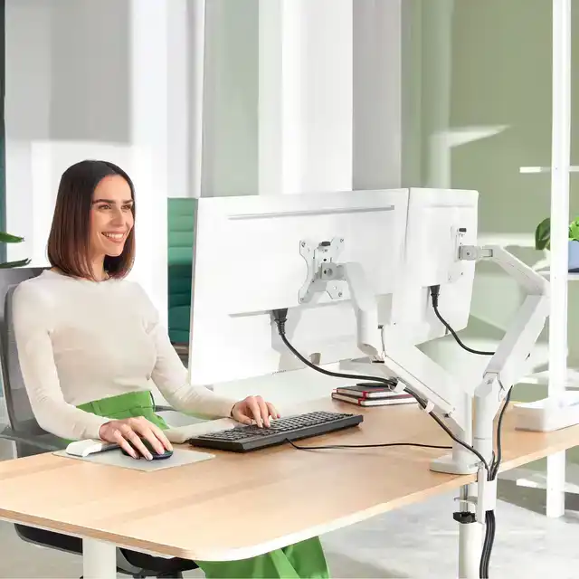 MONITORARM LEITZ ERGO RUIMTEBESPAREND