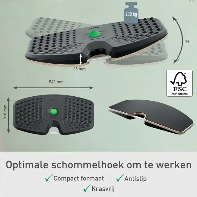 BALANSBORD LEITZ ERGO ACTIEF