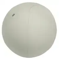 ACTIEVE ZITBAL LEITZ ERGO 75CM ANTI-ROL