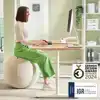 ACTIEVE ZITBAL LEITZ ERGO 65CM ANTI-ROL