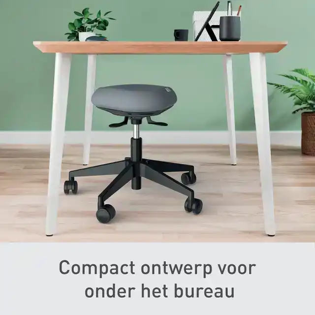 ZITKRUK LEITZ ERGO MET WIELTJES EN