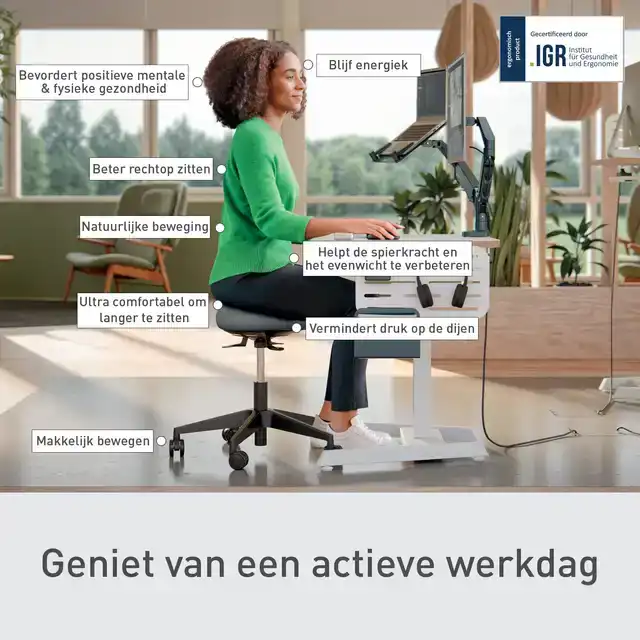 ZITKRUK LEITZ ERGO MET WIELTJES EN