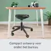 ZITKRUK LEITZ ERGO MET WIELTJES EN