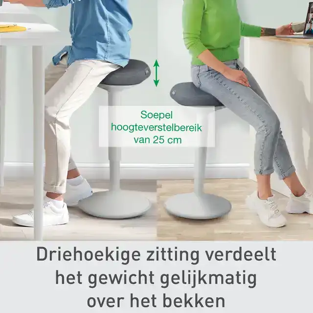 ACTIEVE ZIT-STA KRUK LEITZ ERGO GASVEER