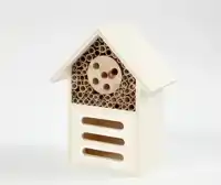 INSECTEN- EN VLINDER HOTEL CREATIV