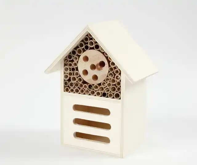 INSECTEN- EN VLINDER HOTEL CREATIV