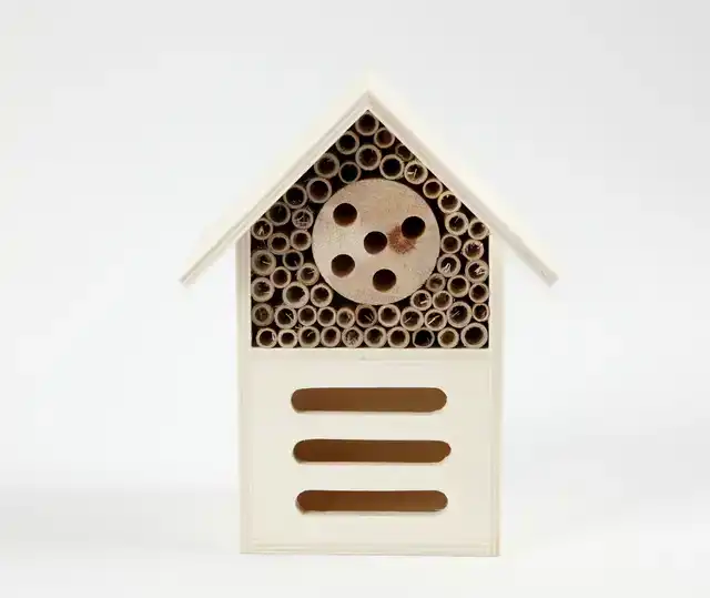 INSECTEN- EN VLINDER HOTEL CREATIV
