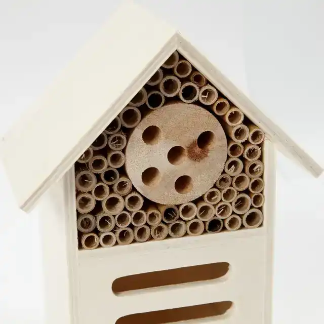 INSECTEN- EN VLINDER HOTEL CREATIV