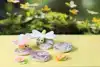 HOBBYSET CREATIV COMPANY BOETSEREN
