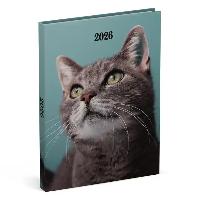 AGENDA 2026 LANNOO MY FAVOURITE FRIENDS