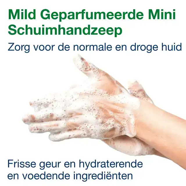 HANDZEEP TORK S5 PREMIUM SCHUIM 525ML