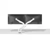 MONITORARM NEOMOUNTS NEXT SLIM 2