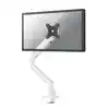 MONITORARM NEOMOUNTS NEXT SLIM 1 SCHERM