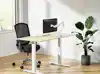 MONITORARM NEOMOUNTS NEXT SLIM 1 SCHERM