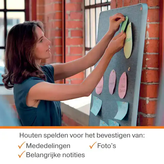 PUNAISES NOBO HOUT VOOR MEMOBORD 40ST