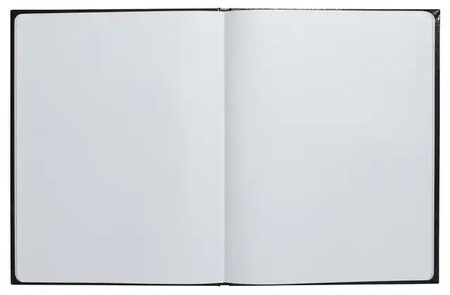GASTENBOEK EXACOMPTA GRAPHIK 270X220