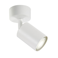 PLAFONDSPOT INTEGRAL SIENA 1 SPOT IP20
