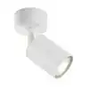 PLAFONDSPOT INTEGRAL SIENA 1 SPOT IP20