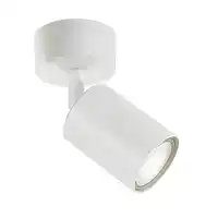 PLAFONDSPOT INTEGRAL SIENA 1 SPOT IP20