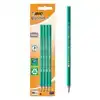 POTLOOD BIC EVOLUTION ECOLUTIONS