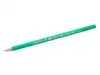 POTLOOD BIC EVOLUTION ECOLUTIONS