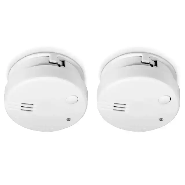 ROOKMELDER ALECTO MINI 2 STUKS MET 5