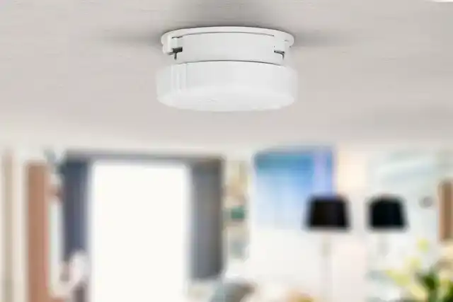 ROOKMELDER ALECTO MINI 2 STUKS MET 5