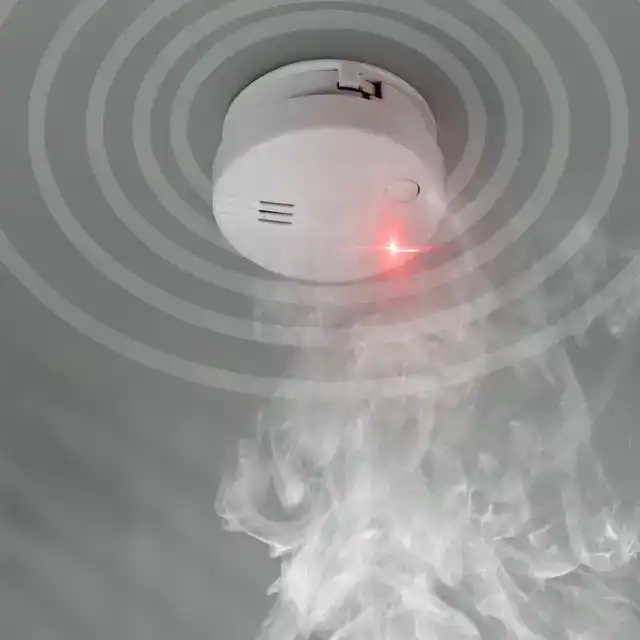 ROOKMELDER ALECTO MINI MET 5 JAAR