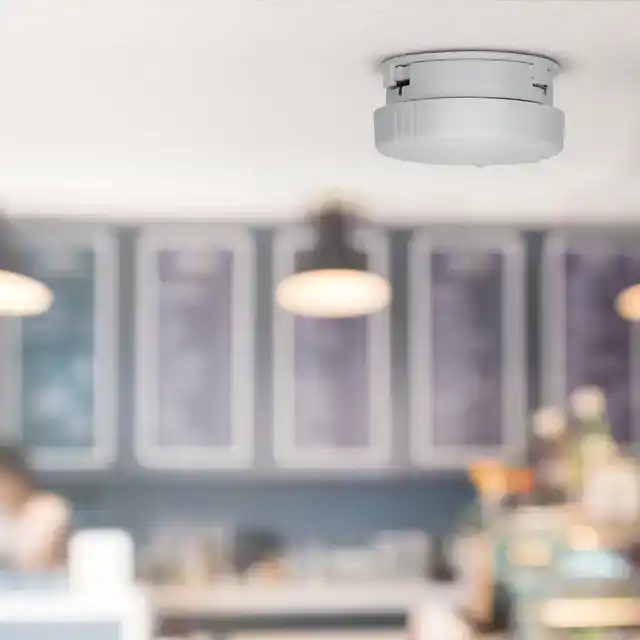 ROOKMELDER ALECTO MINI MET 5 JAAR