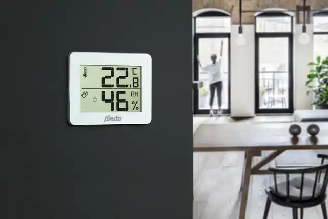 THERMOMETER HYGROMETER ALECTO WS-55 WIT