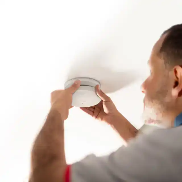 ROOKMELDER ALECTO 2 STUKS SA20 WIT