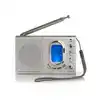 WERELDRADIO NEDIS MET WEKKER RDWR1000GY