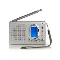 WERELDRADIO NEDIS MET WEKKER RDWR1000GY
