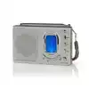 WERELDRADIO NEDIS MET WEKKER RDWR1000GY