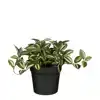 KUNSTPLANT MICA TRADESCANTIA IN POT